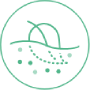 Tencel Claims Biodegradable N Compostable