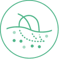 Tencel Sustainability Biodegradableandcompostable