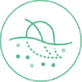 Tencel Claims Biodegradable N Compostable